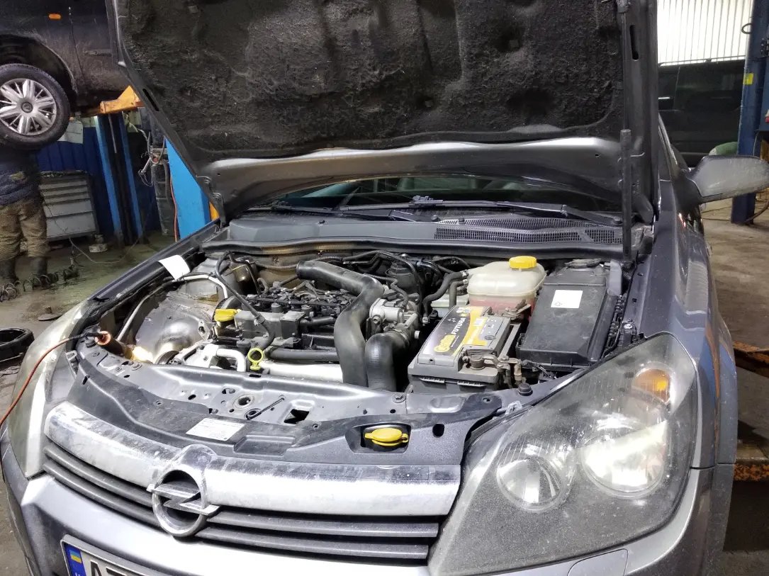 Import Authority auto repair shop in Tallahassee serving Japanese and Asian vehicles since 1994